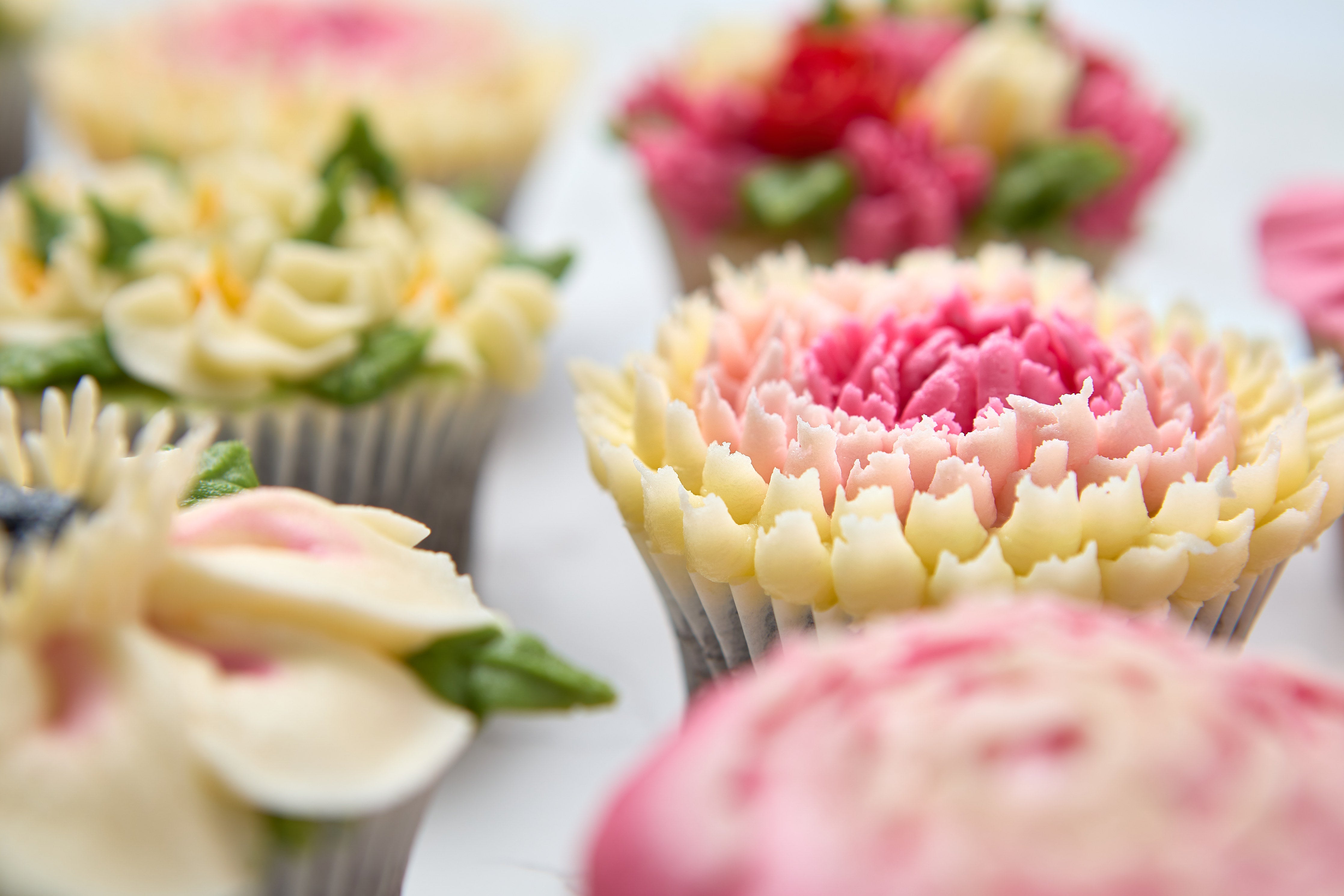 Cupcakes